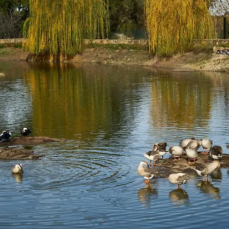 El Cortinal فندق Valencia de Alcántara