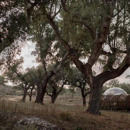 El Cortinal فندق