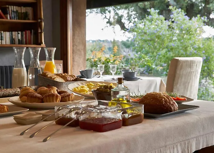 芬卡艾尔柯缇纳尔酒店 *