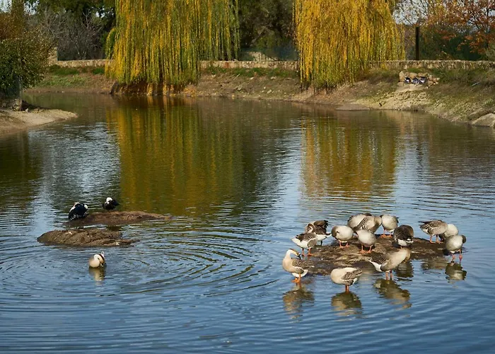 El Cortinal Hotel Valencia de Alcantara
