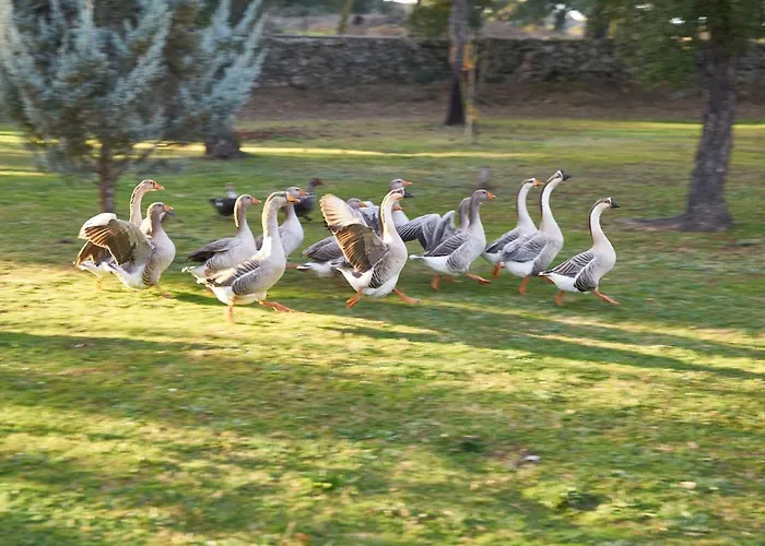 호텔 El Cortinal *