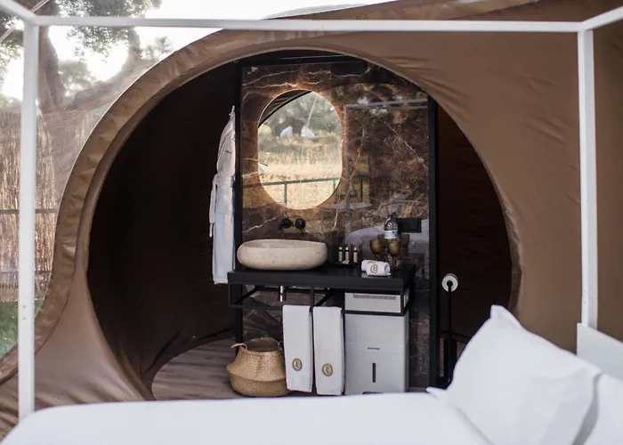 芬卡艾尔柯缇纳尔酒店 酒店 *