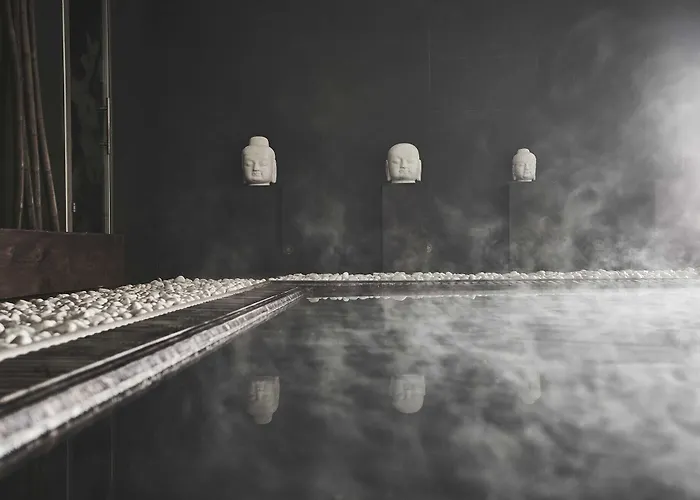 芬卡艾尔柯缇纳尔酒店 酒店