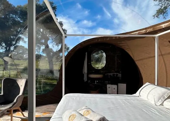 芬卡艾尔柯缇纳尔酒店 *