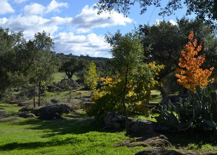 酒店 芬卡艾尔柯缇纳尔酒店